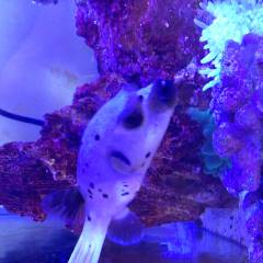 image.jpeg image.jpeg