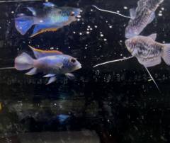 AB1E5986-7386-4335-AB91-413B9C2182D4.jpeg AB1E5986-7386-4335-AB91-413B9C2182D4.jpeg