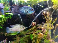 IMG_2023-07-15-10-36-57-445.jpg IMG_2023-07-15-10-36-57-445.jpg