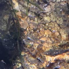 IMG_4F6444C9F639-1.jpeg IMG_4F6444C9F639-1.jpeg