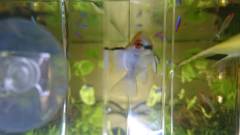 1445954843031.jpg 1445954843031.jpg