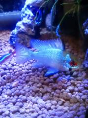 2015-01-22-17-28-25_deco.jpg 2015-01-22-17-28-25_deco.jpg