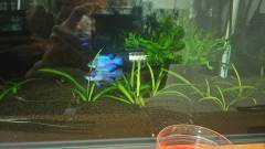 DSC_0902.jpg DSC_0902.jpg