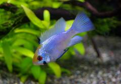 IMGP9979.jpg IMGP9979.jpg