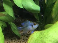 IMG_0072_0.jpg IMG_0072_0.jpg