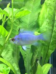 IMG_1441_0.jpg IMG_1441_0.jpg