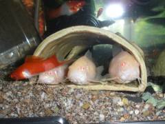 0824-2964.jpg 0824-2964.jpg