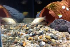 2014-05-26 21.31.32.jpg 2014-05-26 21.31.32.jpg