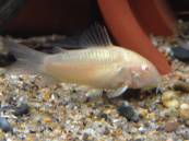 2014-05-26 21.36.31.jpg 2014-05-26 21.36.31.jpg