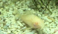 8AA63D9A-08F7-4076-ACF2-DE0367AE7CEF.jpeg 8AA63D9A-08F7-4076-ACF2-DE0367AE7CEF.jpeg