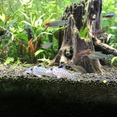 825AEDE0-16A8-411A-BA21-DE7616F45748.jpeg 825AEDE0-16A8-411A-BA21-DE7616F45748.jpeg