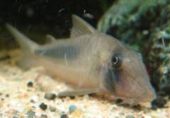 INR06203.jpg INR06203.jpg