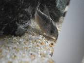 P5080107.jpg P5080107.jpg