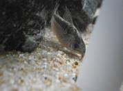 P5080107.jpg P5080107.jpg