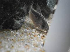 P5080107.jpg P5080107.jpg