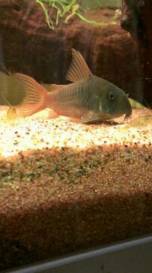 IMG_2012122838330.jpg IMG_2012122838330.jpg