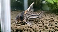 DSC_0298.jpg DSC_0298.jpg