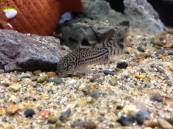 2014-05-26 21.33.56.min.jpg 2014-05-26 21.33.56.min.jpg