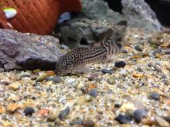 2014-05-26 21.33.56.min.jpg 2014-05-26 21.33.56.min.jpg