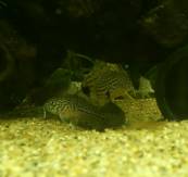 DSC_0257-2.jpg DSC_0257-2.jpg