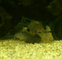 DSC_0257-2.jpg DSC_0257-2.jpg