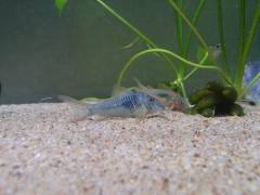 DSC_1561.jpg DSC_1561.jpg