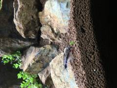 image_0.jpeg image_0.jpeg