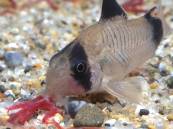 2014-05-21 23.32.02.jpg 2014-05-21 23.32.02.jpg