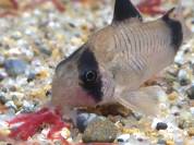 2014-05-21 23.32.02.jpg 2014-05-21 23.32.02.jpg