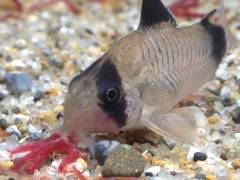 2014-05-21 23.32.02.jpg 2014-05-21 23.32.02.jpg