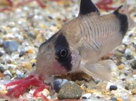 2014-05-21 23.32.02.jpg 2014-05-21 23.32.02.jpg