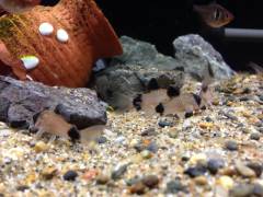 2014-05-26 21.31.20.min.jpg 2014-05-26 21.31.20.min.jpg