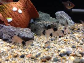 2014-05-26 21.31.20.min.jpg 2014-05-26 21.31.20.min.jpg