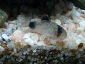 IMG_201306162635.jpg IMG_201306162635.jpg