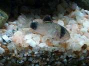 IMG_201306162635.jpg IMG_201306162635.jpg