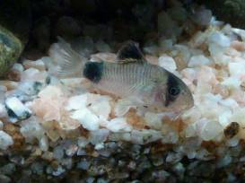 IMG_201306162635.jpg IMG_201306162635.jpg