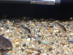 2014-05-26 21.59.10.jpg 2014-05-26 21.59.10.jpg