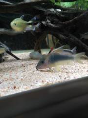 IMG_20180809_192715.jpg IMG_20180809_192715.jpg