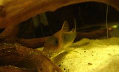 INRim6157.jpg INRim6157.jpg