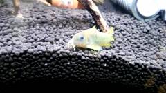 sc_20160126064643_0.jpg sc_20160126064643_0.jpg