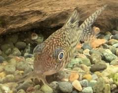 3D0BD725-0690-4830-B822-7E19721ED7D4.jpeg 3D0BD725-0690-4830-B822-7E19721ED7D4.jpeg