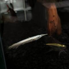 FC4D9D9C-9ED2-4113-A795-76BC6E6D9EAB_1.jpg FC4D9D9C-9ED2-4113-A795-76BC6E6D9EAB_1.jpg