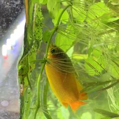 86630523-B111-4A1F-A79D-39C6D179C41C.jpeg 86630523-B111-4A1F-A79D-39C6D179C41C.jpeg