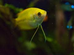 P1010015.jpg P1010015.jpg