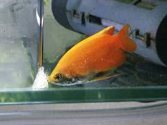 securedownload.jpg securedownload.jpg