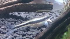 image-199503.jpg image-199503.jpg