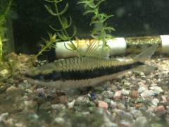 image.jpeg image.jpeg