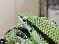 image_0.jpeg image_0.jpeg