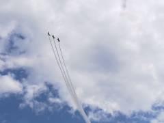 IMG_20190825_140356.jpg IMG_20190825_140356.jpg