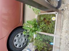 20170611_104410.jpg 20170611_104410.jpg